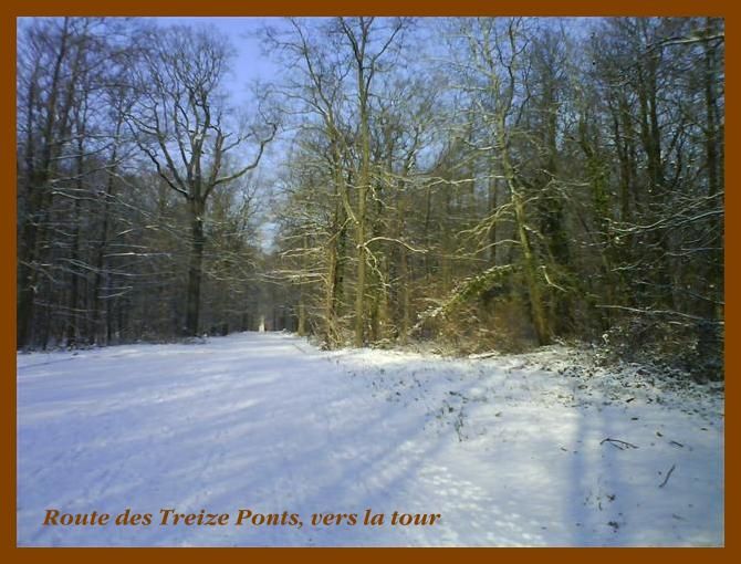 Album - Meudon-Foret-Parc