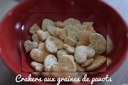  Crakers aux graines de pavot