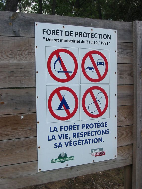 Le secteur des Vignes à St Aubin n'est pas loin du tracé de la "future déviation" du Taillan St Médard et st Aubin même combat! Elles aiment les espaces naturels et savent les mettre en valeur