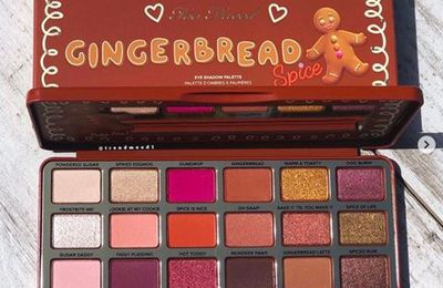 Too Faced Gingerbread Spice || Christmas 2018 🎄🎉