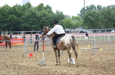 Réglement des équifuns Equi-Handi