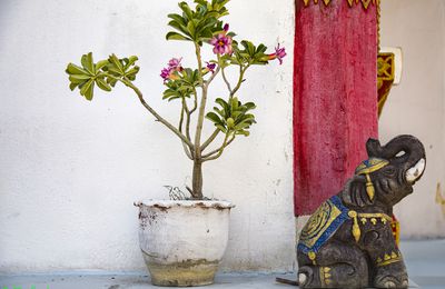 SEQUENCE THAI - WAT PHRA SINGH