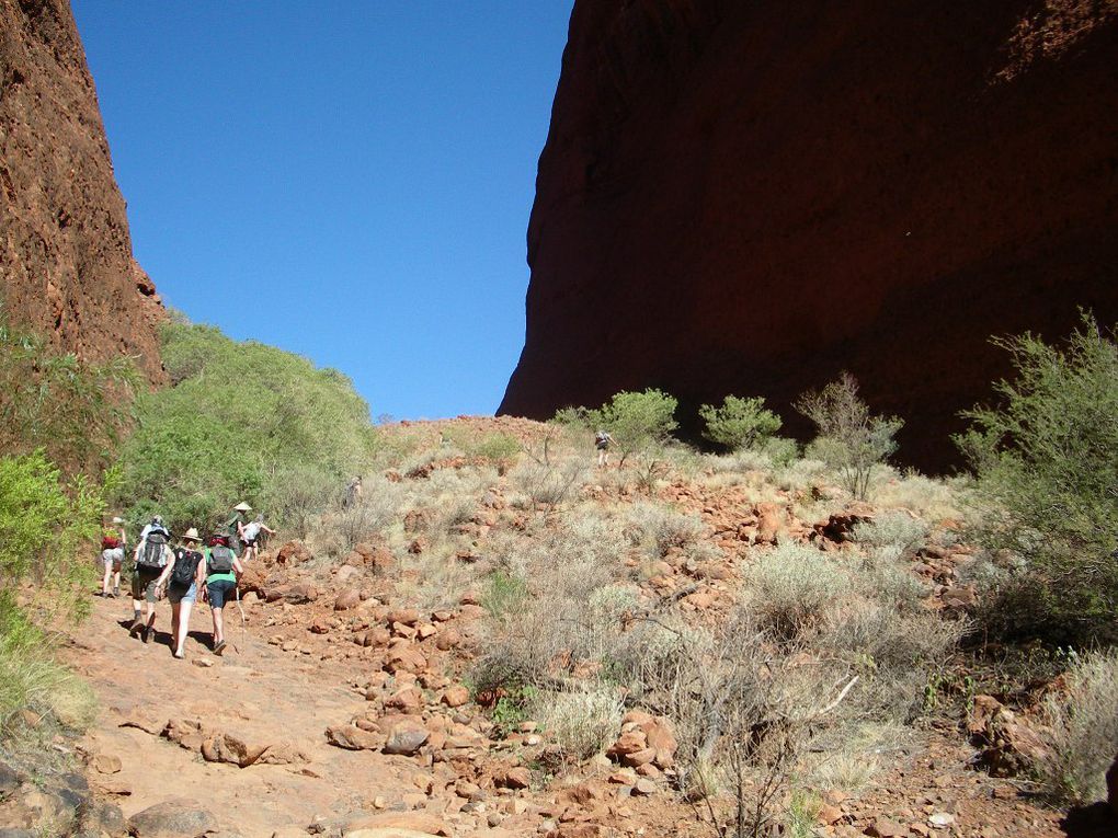 Album - The-Ultimate-Oz-Experience-2--Outback--The-Olgas---Ayers-Rock---Kings Canyon