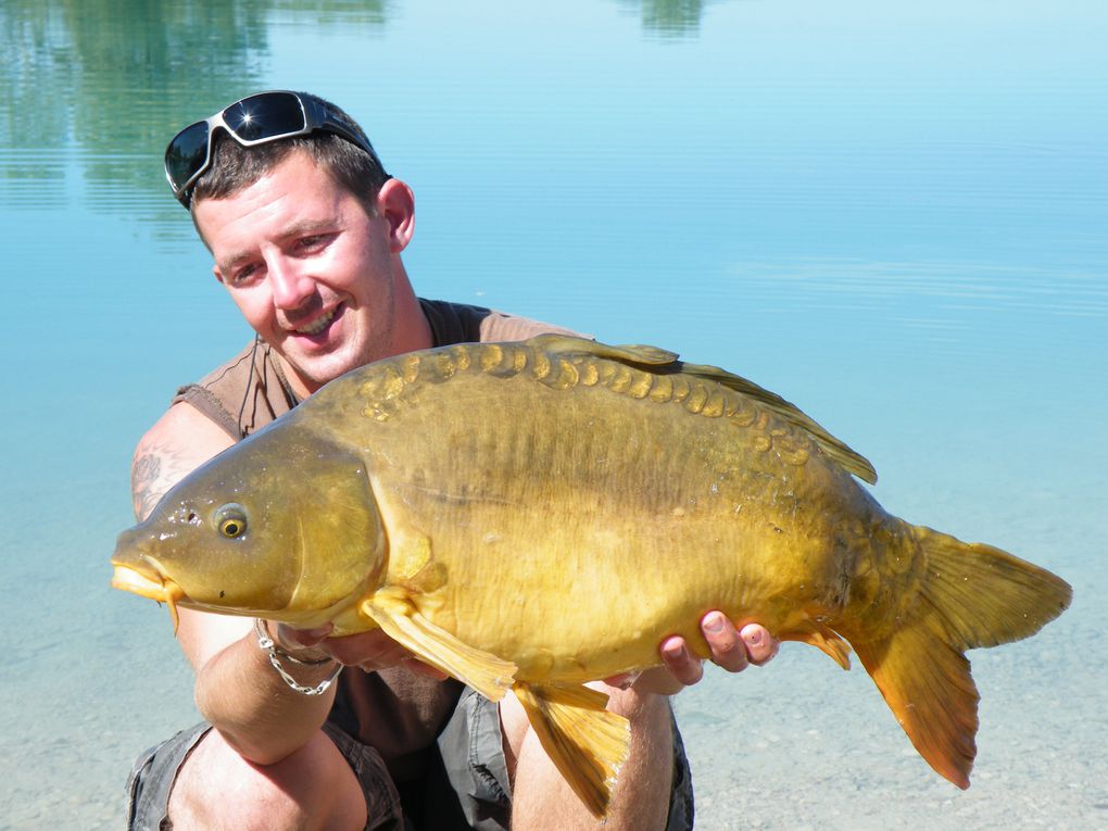 dans cet album vous trouverez toutes nos prise de carpes et de silures