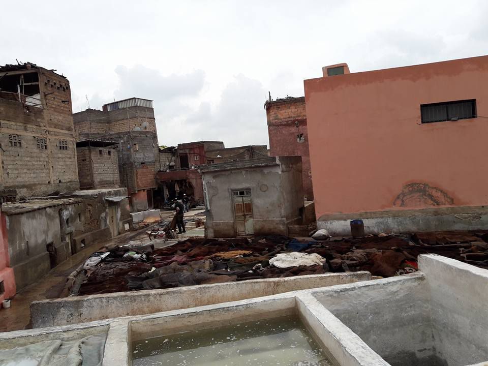 Visite d'une tannerie (bouquet de menthe sous le nez)