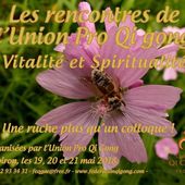 L'Union Pro Qigong en Isère! - QiGong Deschamps