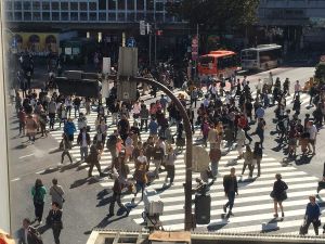 Avant tout le monde attend, après tout le monde traverse !
