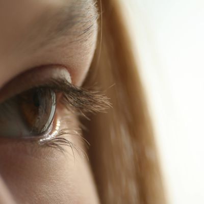 Lentilles pas chères : où et comment en trouver à moindre coût ?