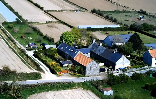 Le lys rouge vu du ciel