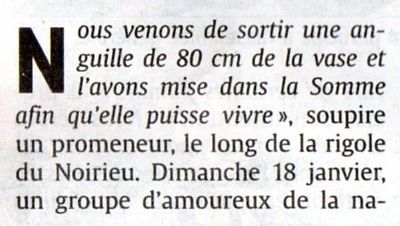 Des milliers de mètres cubes de vase