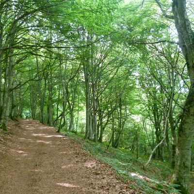 puy de Clierzou