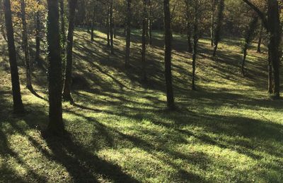 La douce à GIGOUZAC vendredi 11 octobre