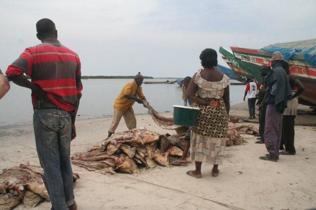 Album - casamance-senegal