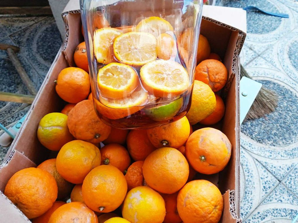 Vinaigre d’oranges amères  : haut en couleur et en saveurs