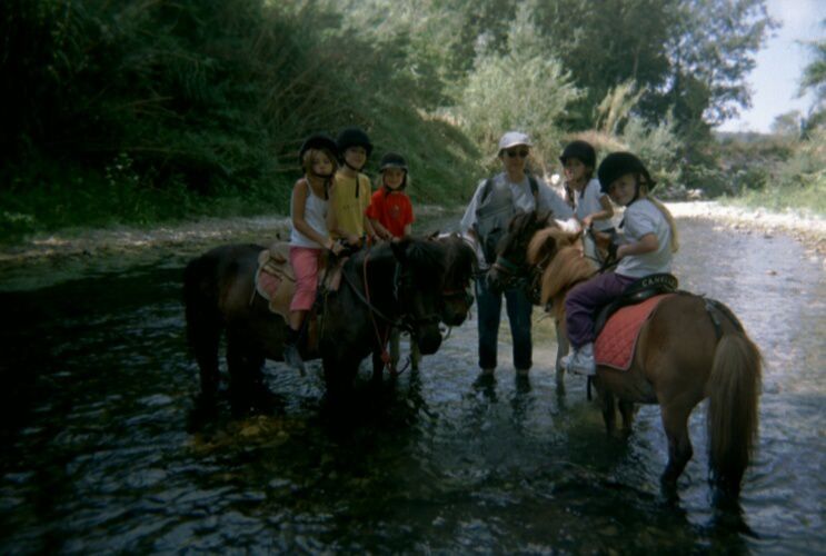 Les chevaux de LA SIMIOUNE (Près de BOLLENE dans le VAUCLUSE)