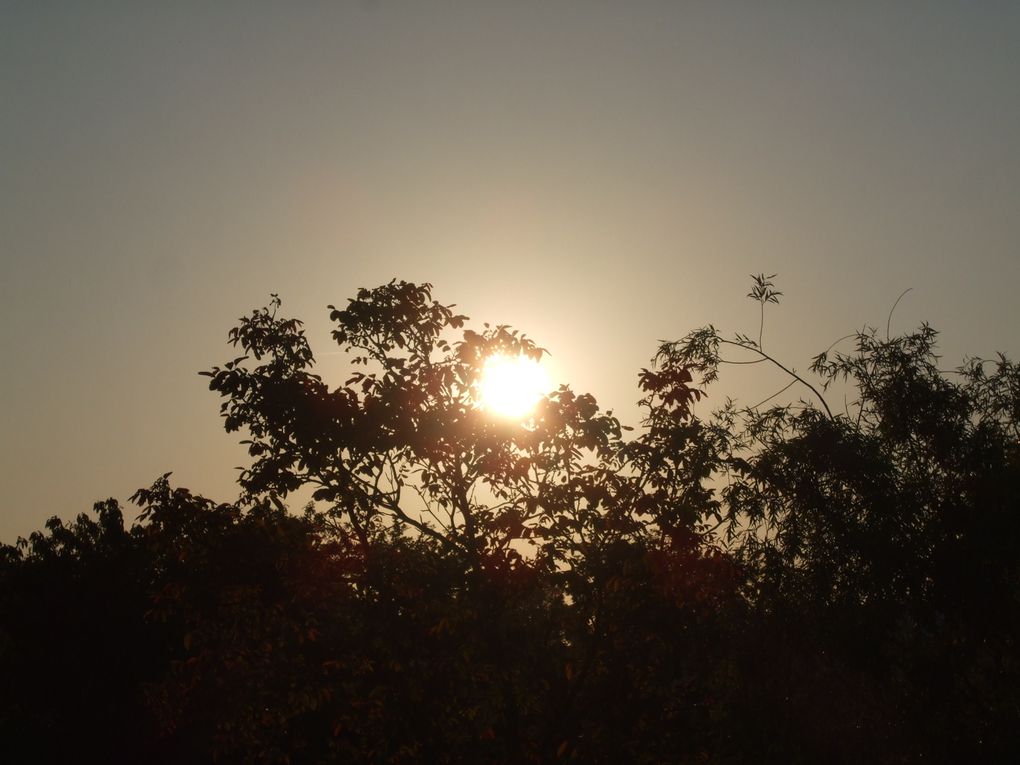 J'aime regarder le ciel. Son immensité me rassure. Sa beauté et ses couleurs m'inspirent, me font réfléchir, rire ou même sourire. J'associe le ciel aux oiseaux, aux rêves, à l'inconnu et à l'espoir. En figeant quelques clichés, j'ai l'impre