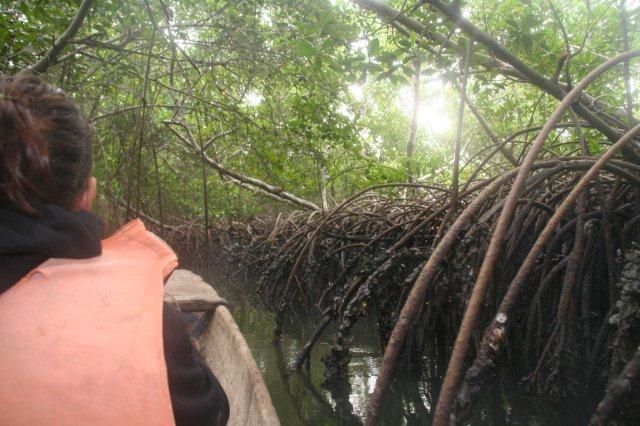 Album - casamance-senegal