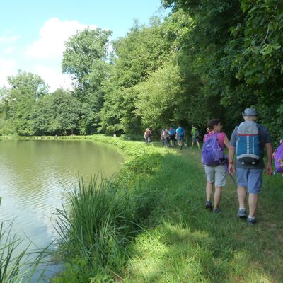 Randonnée en boucle de Dourdan-la-Forêt - 22 km.