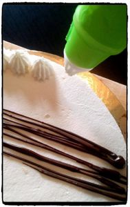 Fraisier, recette au thermomix
