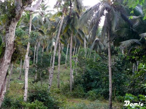 Voyage sur Mayotte