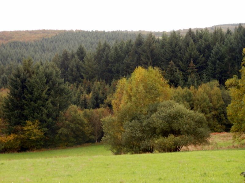 LUMIERES ET COULEURS DU MORVAN....automne 2013