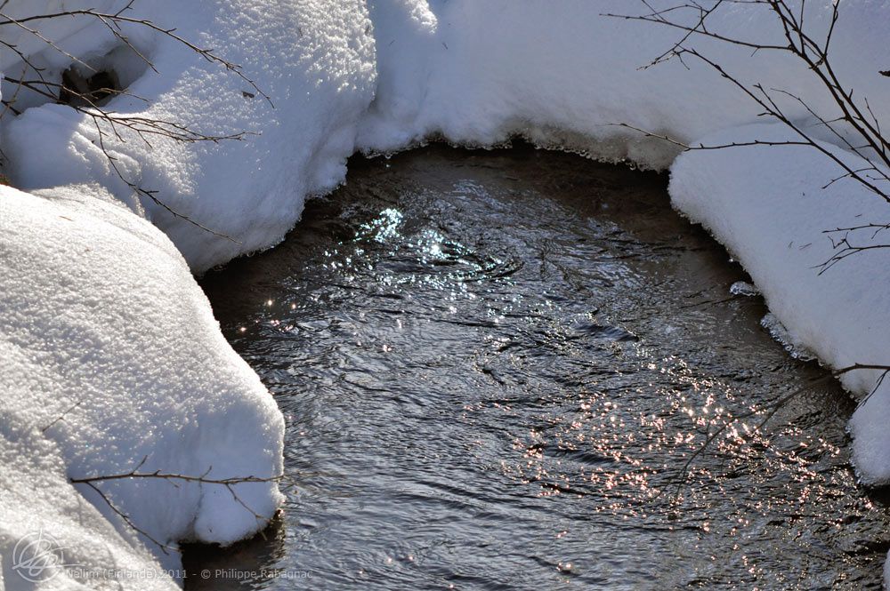 Séjour hivernal à Nellim (nord de la Finlande) Février-Mars 2011