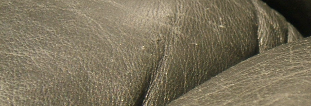 Entretien naturel des cuirs