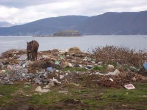 Lac de prespa côté albanais