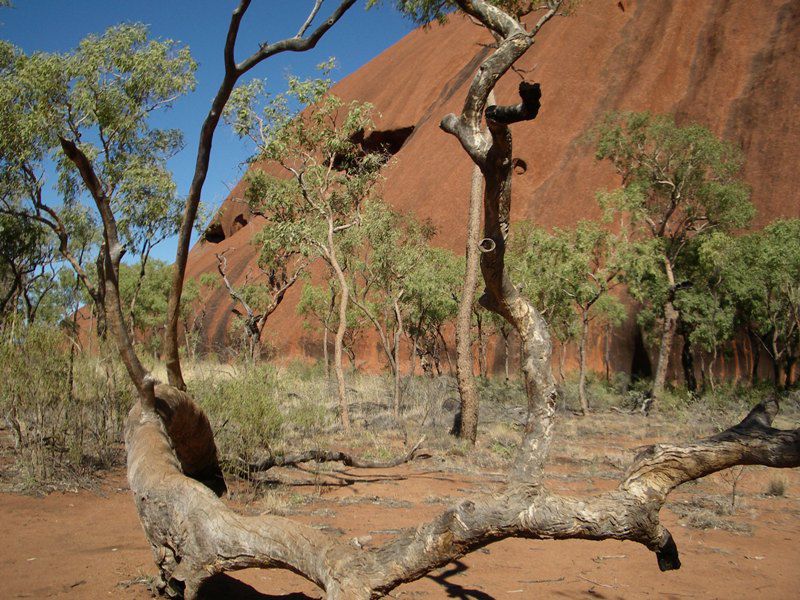 Album - The-Ultimate-Oz-Experience-2--Outback--The-Olgas---Ayers-Rock---Kings Canyon