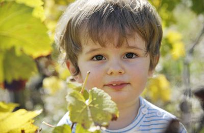 Balade dans le beaujolais avec Lucie et Léo !