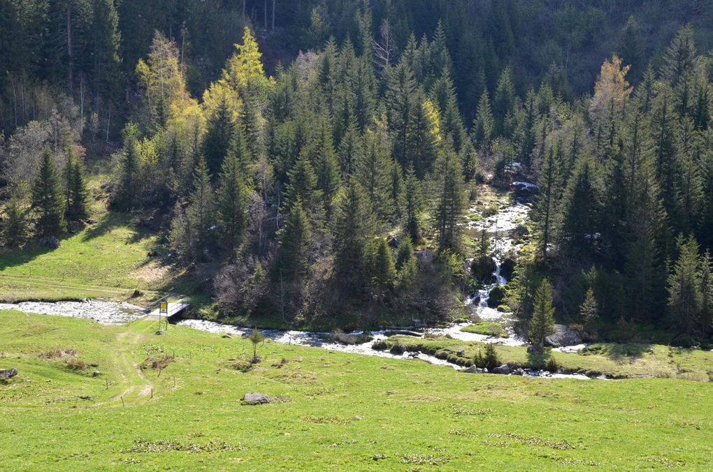 Deuxième jour : vers le lac Jovet. puis : sous le Tré de la Tête.