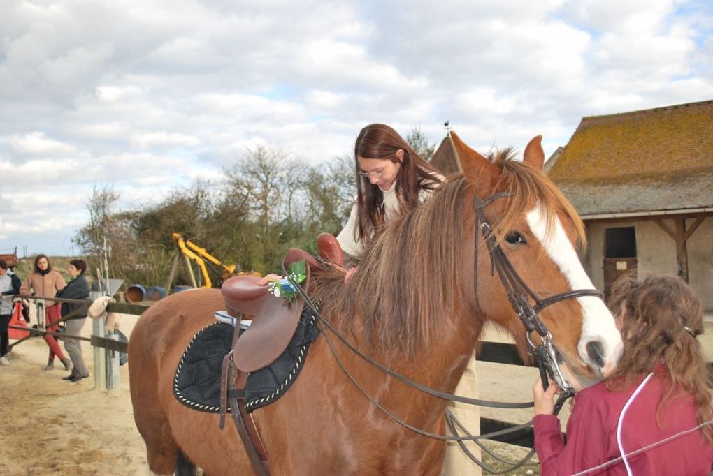 week-end équitation en amazone en touraine 28-29 mars 2009, des amazones  confirmées, une amazone débutante, des amazhoms, des selles d'amazone à foison
la monte en amazone sous toutes ses facettes, cheval, dressage, saut d'obstacle, sidesaddle