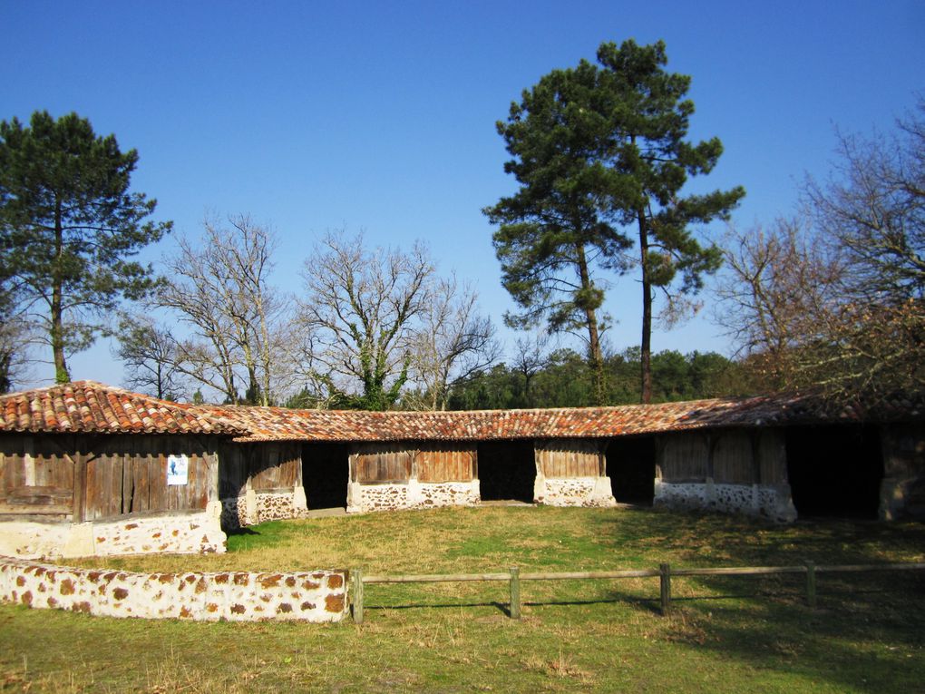 visitez les tresors cachés des LANDES  d' AQUITAINE