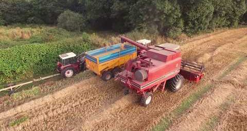 Moisson 2019, vidéo IH 1460 axial flow