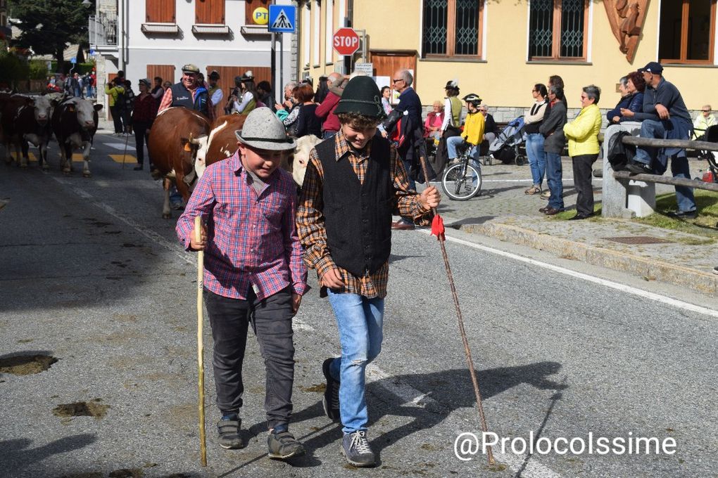 Antalpu Issime 2019 