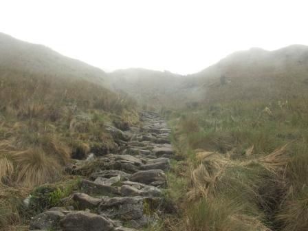 voyage au Machu Picchu depuis Cusco
La premiere partie est realisee par Romain Kirikou et Allqu jusqu au km 82
La seconde partie est realisee par Romain et Tatiana