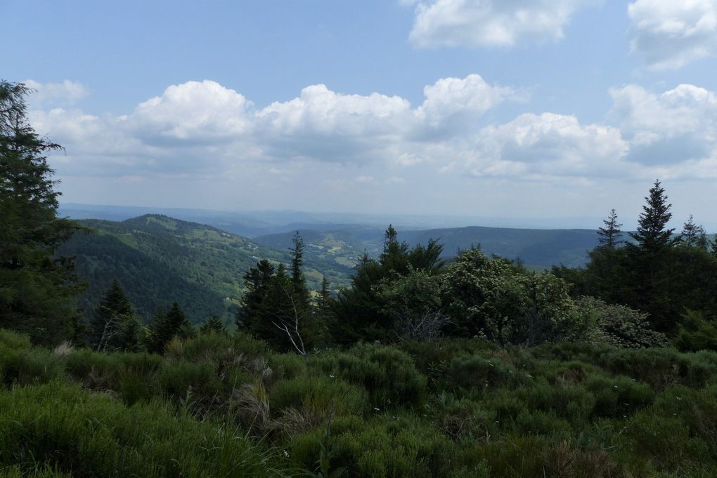 Séjour à Vic-sur-Cère - J4 groupe 2