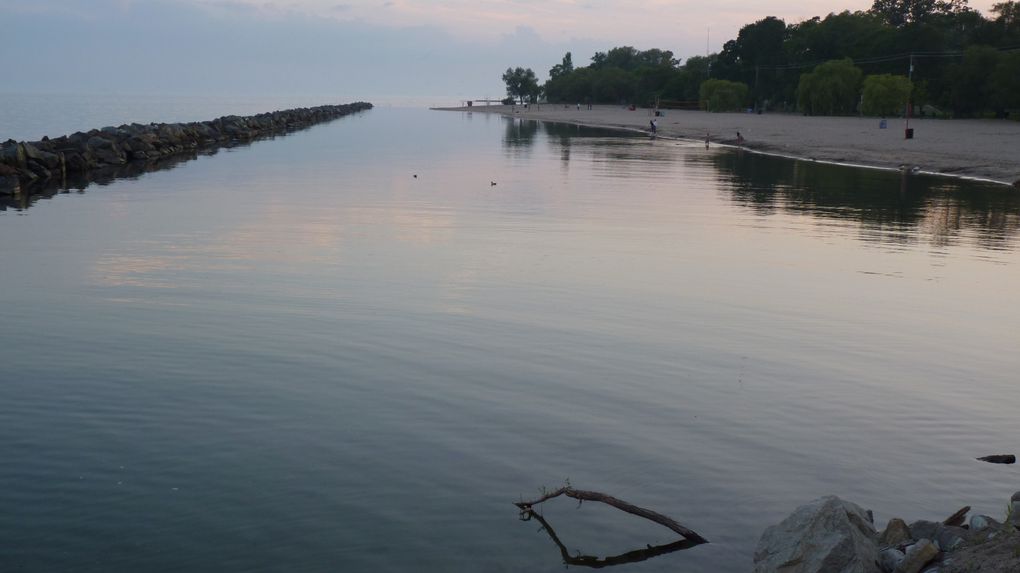 Toronto Island! Einfach anschauen und genießen...ohne Worte! Man kommt sich wie auf nem anderen Planeten vor, wenn man aus der Stadt rauskommt...