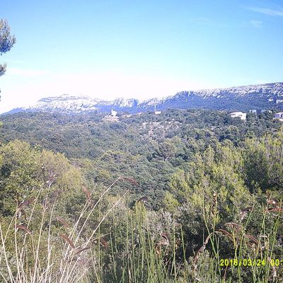 Sainte Baume : nous arrivons !