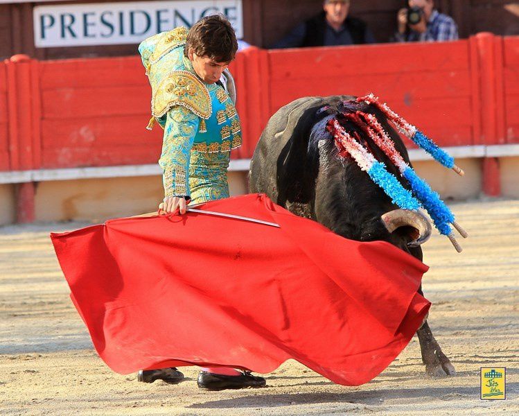 Arènes de VERGEZE (30) Dimanche 14 avril 2013 à 16H30-  Corrida du Rhôny avec  6 Toros des Frères Tardieu pour Marc Serrano, Antonio-João Ferrera et Alberto Lamelas - Cavalerie Heyral