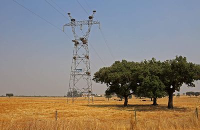 region ferreira do alentejo