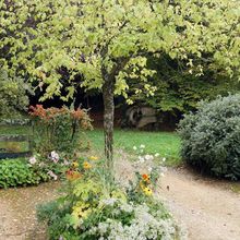 Gélaucourt, village jardin