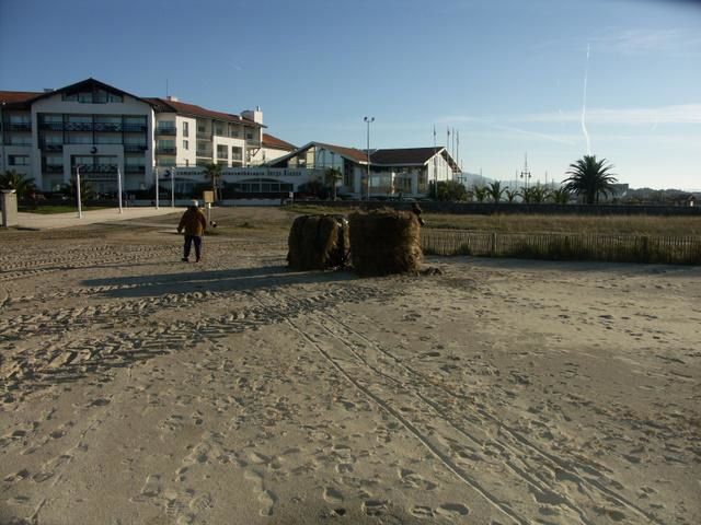 Ce qu'il reste des dunes a hendaye 
après trois ans de tempêtes dont klaus ainsi que des meules de foins 