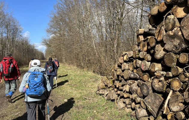 Randonnée de Tournan-en-Brie à Roissy-en-Brie - 18 km.