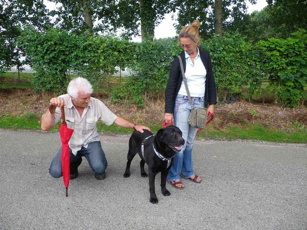 Album - CHIENS-ADOPTES-juillet-août-septembre-10.