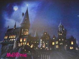 exposition : Harry Potter 