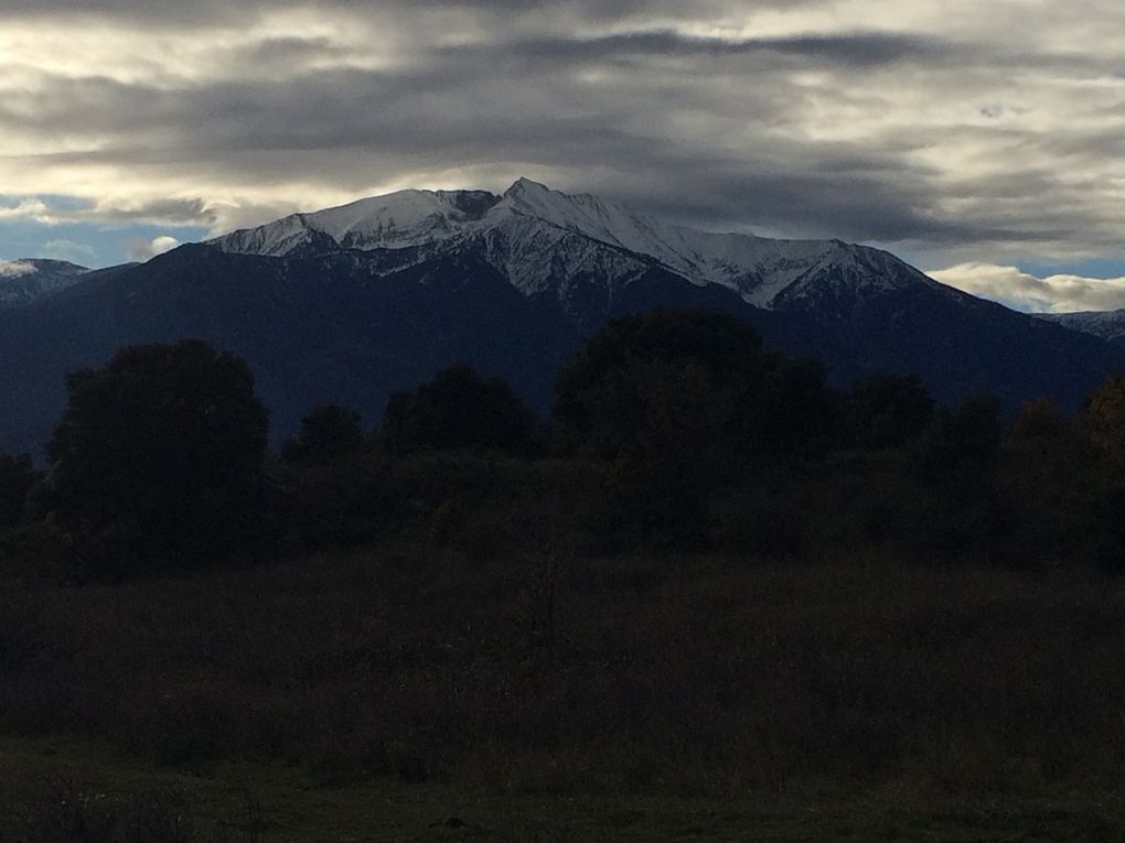 DIMANCHE 2/12/2018:  SINGLE DE PRADES