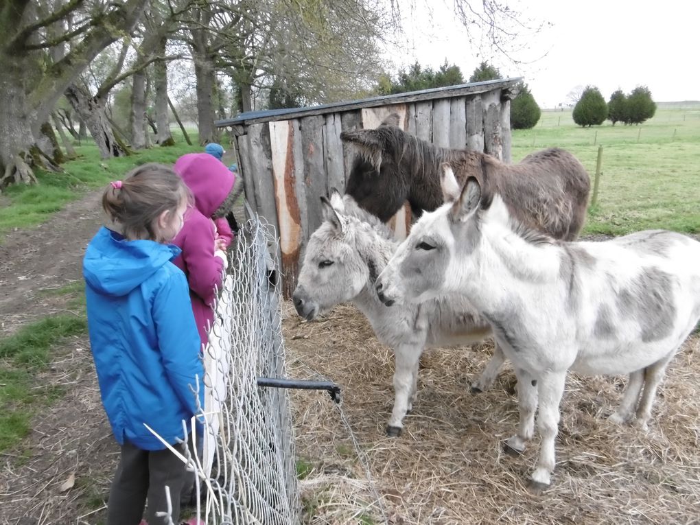 Festival Nature en Jeux