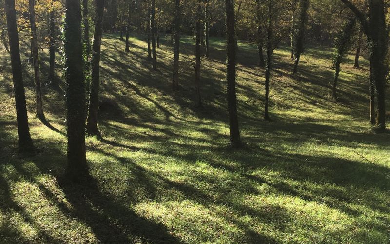La douce à GIGOUZAC vendredi 11 octobre