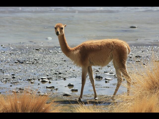 Album - TRIP-4-4-TUPIZA-UYUNI